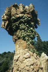 PARQUE GUELL